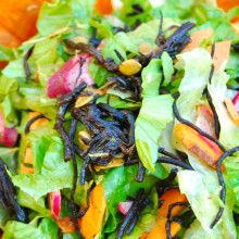 ensalada de alga hiziki ensalada de alga hiziki