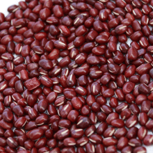 cómo cocinar y conservar legumbres cómo cocinar y conservar legumbres