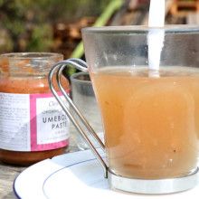 umeshokuzu umeshokuzu