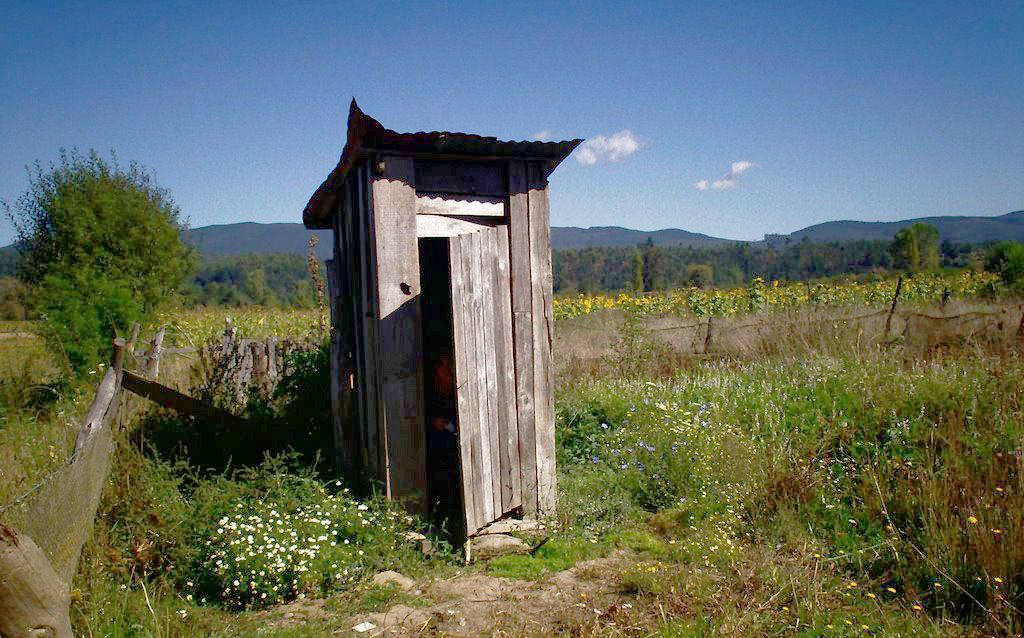 Qué dicen tus heces sobre tu estado de salud