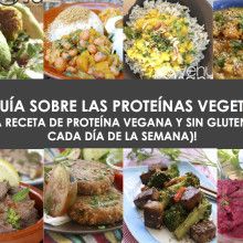 GUÍA DE PROTEÍNAS VEGETALES
