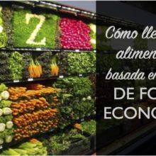 COMO LLEVAR UNA ALIMETNACIÓN SALUDABLE Y ECONÓMICA COMO LLEVAR UNA ALIMETNACIÓN SALUDABLE Y ECONÓMICA