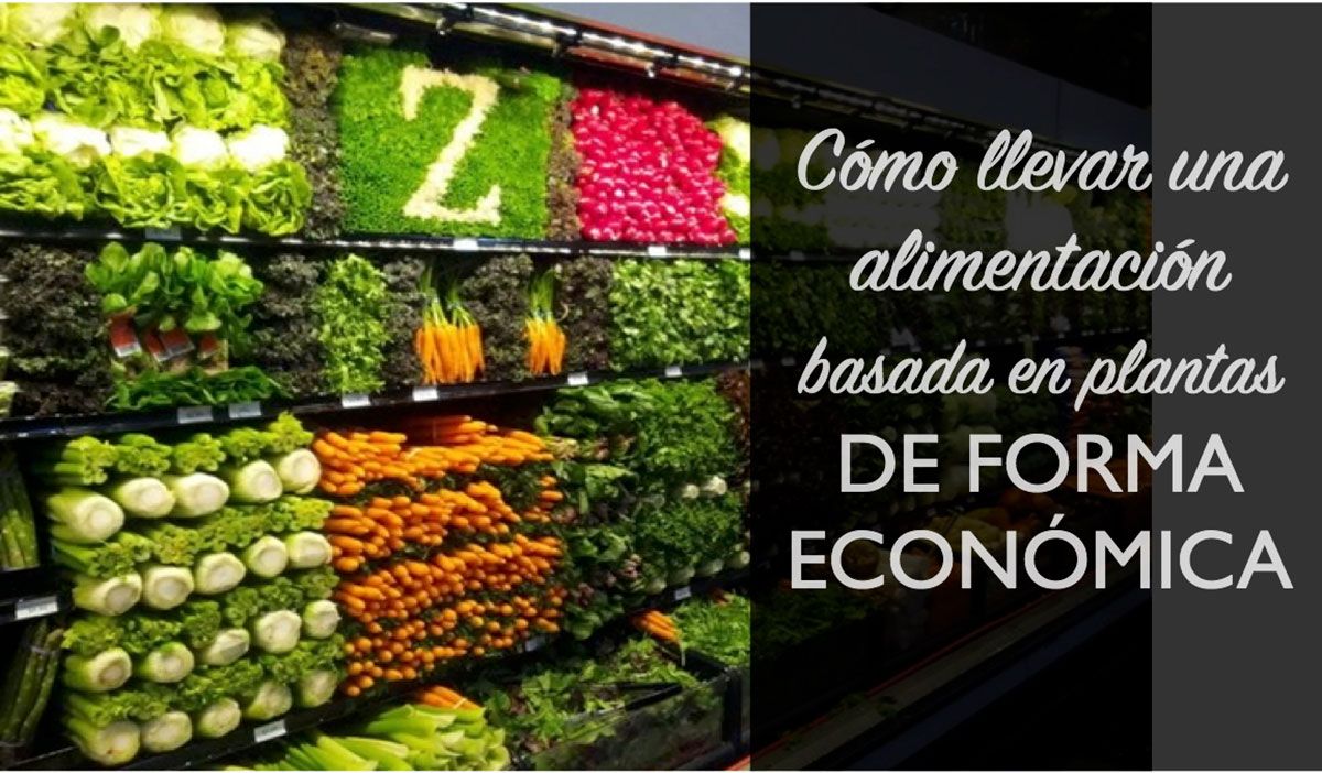 COMO LLEVAR UNA ALIMETNACIÓN SALUDABLE Y ECONÓMICA