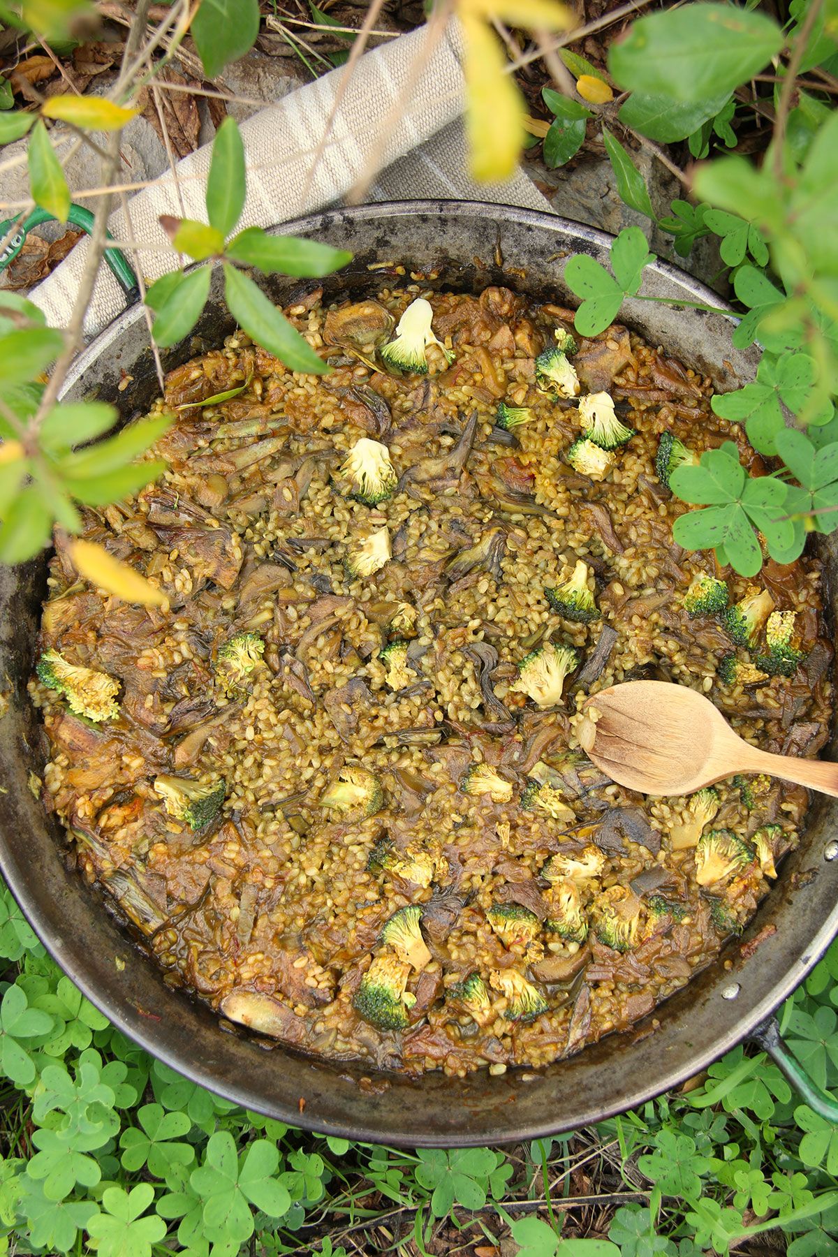 Paella vegetariana 