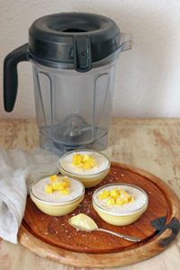 Pannacotta Mango con Vitamix