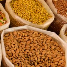 Antinutrientes Antinutrientes